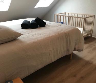 Horbourg-Wihr Apartment | Duplex LOUIS