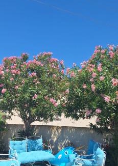 Vendemian House | Duplex piscine calme