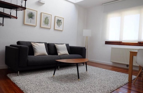 Olaeta Apartment | Duplex precioso con jacuzzi, sauna y chimenea .