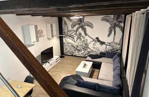 Saverne Apartment | Duplex spacieux 3 chambres Centre Saverne Clim 8 personnes