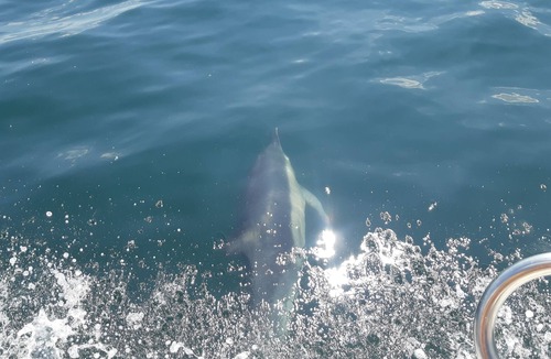 Port-Louis Apartment | DUPLEX TY AR - MOR