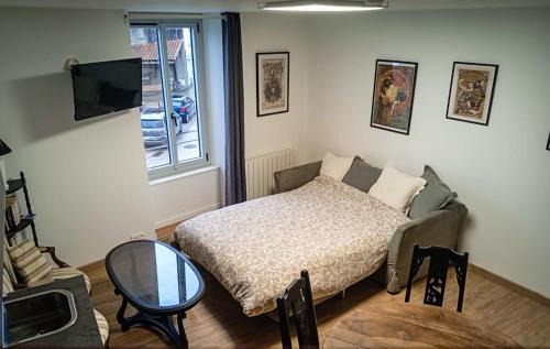 Clisson Apartment | Duplex vue sur château