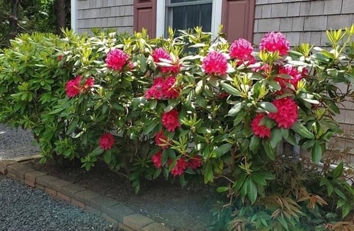 East Dennis House | E Dennis Quintessential Cape home 4 Full Baths,5 BR CTRL A/C-NO PETS/SMOKE