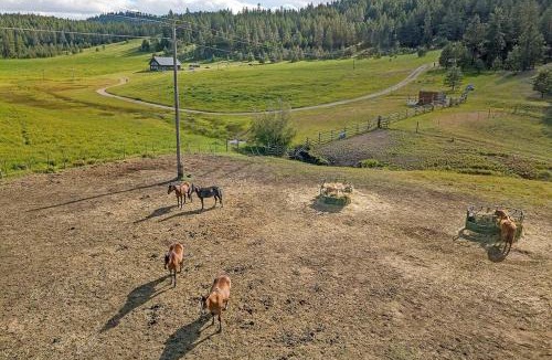 Oroville Apartment | Eagle's Roost Cabin - Eden Valley