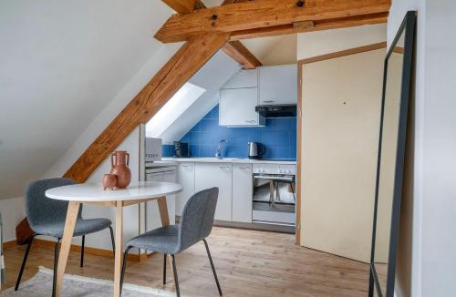 Wipkingen Apartment | Eagle Suite Charmante Dachgeschosswohnung mit Design & Ausblick