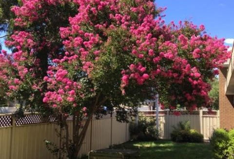 Eaglehawk Hotel | Eaglehawk Motel Bendigo