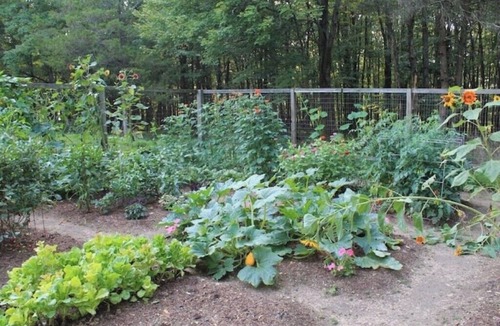 Turbotville House | Earthen Bungalow