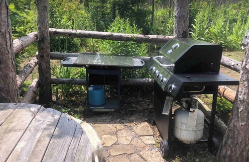 Scugog Cabin | EAST CROSS FOREST CABIN GETAWAY
