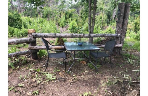 Scugog Cabin | EAST CROSS FOREST CABIN GETAWAY