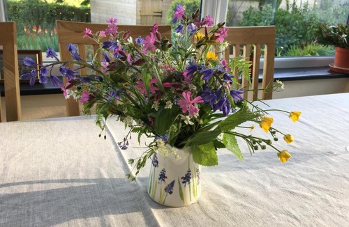 Sticklepath House | East Hillerton House