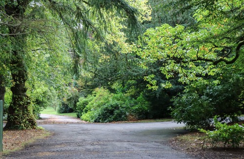 Walkerburn Cottage | EAST LODGE, pet friendly, with open fire in Walkerburn