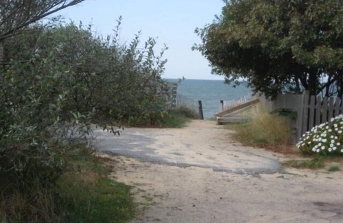 Campground Landing House | Eastham Cottage Only 300 Yards from Private Beach (2188)