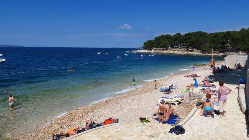 Cove Murtar Other | Easyatent Camping Cikat