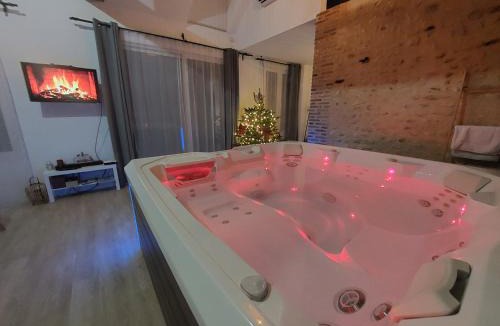 Ladon House | Eaudyssée maison avec SPA privée - Loiret