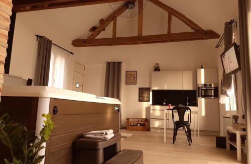 Ladon House | Eaudyssée maison avec SPA privée - Loiret