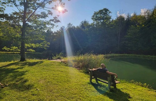 Wellsville Cabin | Ebb~n~Flow-Rustic-Solar Cabin-Heated-Hiking-Biking-Pond-Wildlife-Dark Skies-Pets