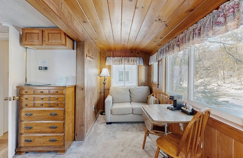 Lincoln Cabin | Eclectic Studio Cabin w/Kitchenette, Free WiFi, Riverfront Location & More