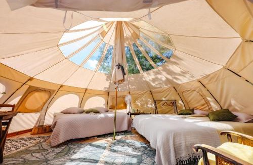 Busque Other | ECO CEIBA