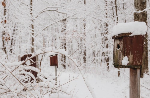 Portersville Cabin | Eco-Conscious Flower & Herb Farm Retreat