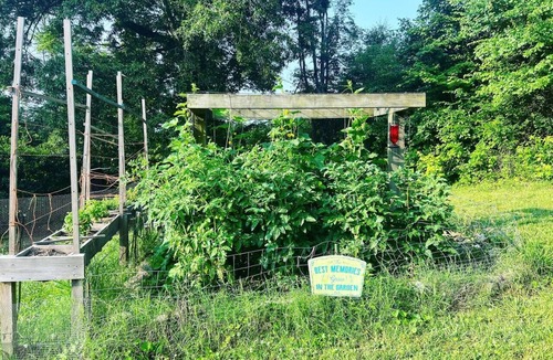 LaFayette RV Rental | Eco-Friendly Glamping Tent