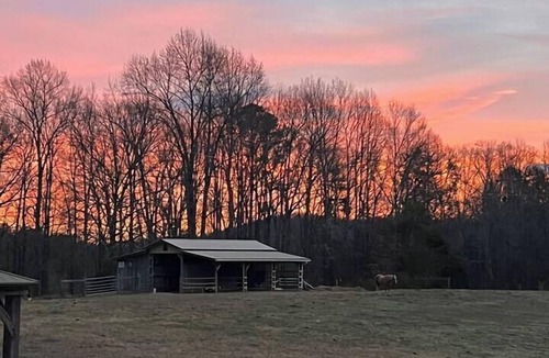 LaFayette RV Rental | Eco-Friendly Glamping Tent