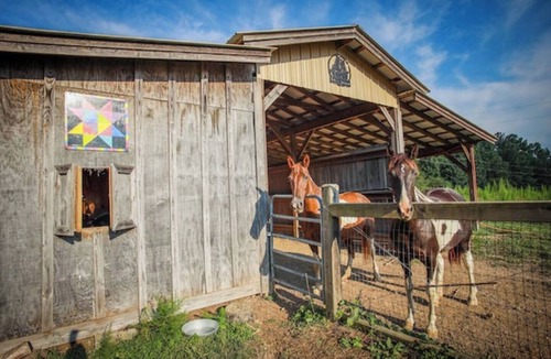 LaFayette RV Rental | Eco-Friendly Glamping Tent