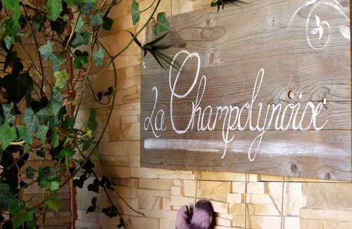 Champoly Cottage | Eco-friendly house with natural pool and panoramic views