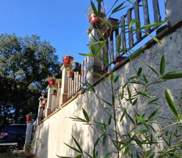 Colonzelle House | Eco gîte des chênes