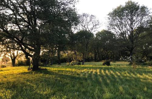 Gael House | Eco-Gîte en Brocéliande