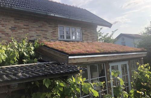 Hundested Villa | Eco-Village Between Sea And Fjord