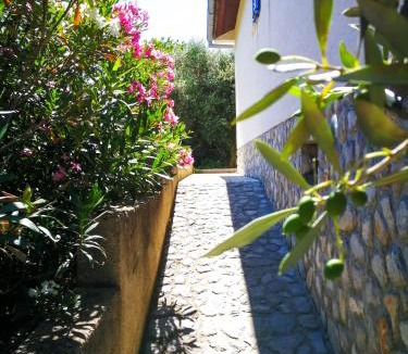 Dobrinj Cabin | Ecohouse Oliveglia