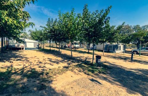 Vinyols i els Arcs Other | Ecològic Vinyols Camp