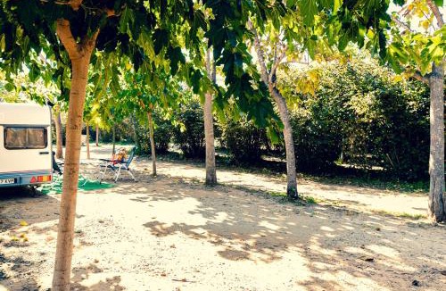 Vinyols i els Arcs Other | Ecològic Vinyols Camp