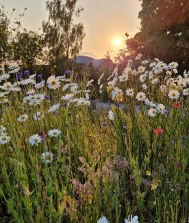 Drincham Other | Ecolieu B & Bubble Drincham by BubbleTree BBT SARL