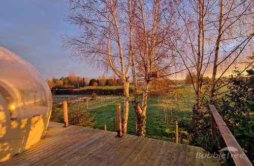 Drincham Other | Ecolieu B & Bubble Drincham by BubbleTree BBT SARL