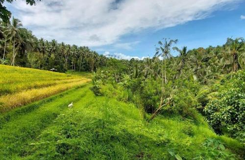 East Selemadeg Ski Chalet | Ecolodge 1BR - JungleHavenBali
