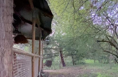 Treigny Cabin | Ecolodge Beauregard