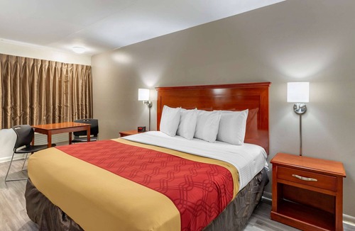 Charlottesville Hotel | Econo Lodge Charlottesville North - University Area