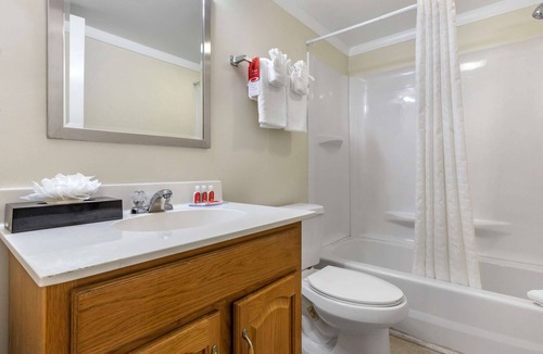 Conway Hotel | Econo Lodge Conway Central