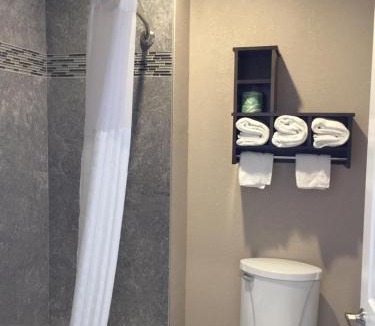 FM 1960 Hotel | Econo Lodge Inn & Suites Houston NW-Cy-Fair