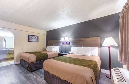 San Marcos Hotel | Econo Lodge San Marcos University Area
