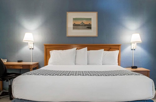 Blasdell Hotel | Econo Lodge South