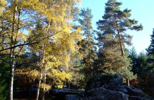Saint-Yrieix-le-Dejalat Hotel | Ecoparc Des Monédières
