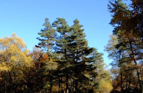 Saint-Yrieix-le-Dejalat Hotel | Ecoparc Des Monédières