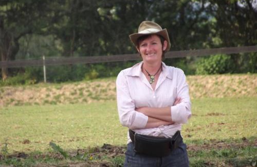 Bolleville Other | Ecuries Leseigneur - Camping Insolites