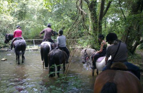 Bolleville Other | Ecuries Leseigneur - Camping Insolites
