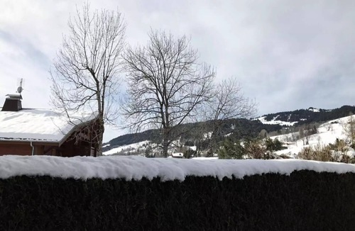 Demi-Quartier Apartment | Edelweiss Residence - Edelweiss B3