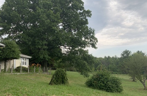 Preston-Potter Hollow House | Edelweiss Mountain Retreat