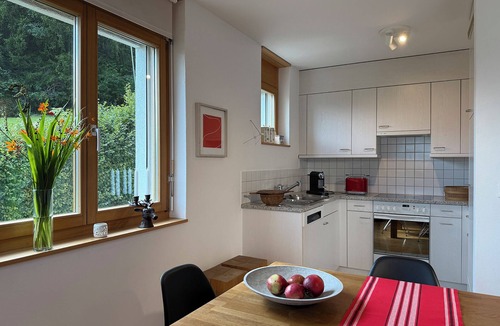 Flims Apartment | Edelweiss vacation apartment Darvena for 6 persons