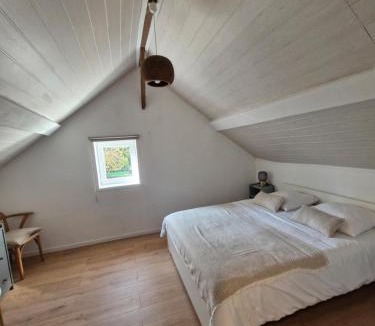 Conteville Bed & Breakfast | Eden Koï